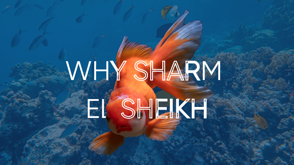 Scenic view of Sharm El Sheikh coastline and Red Sea