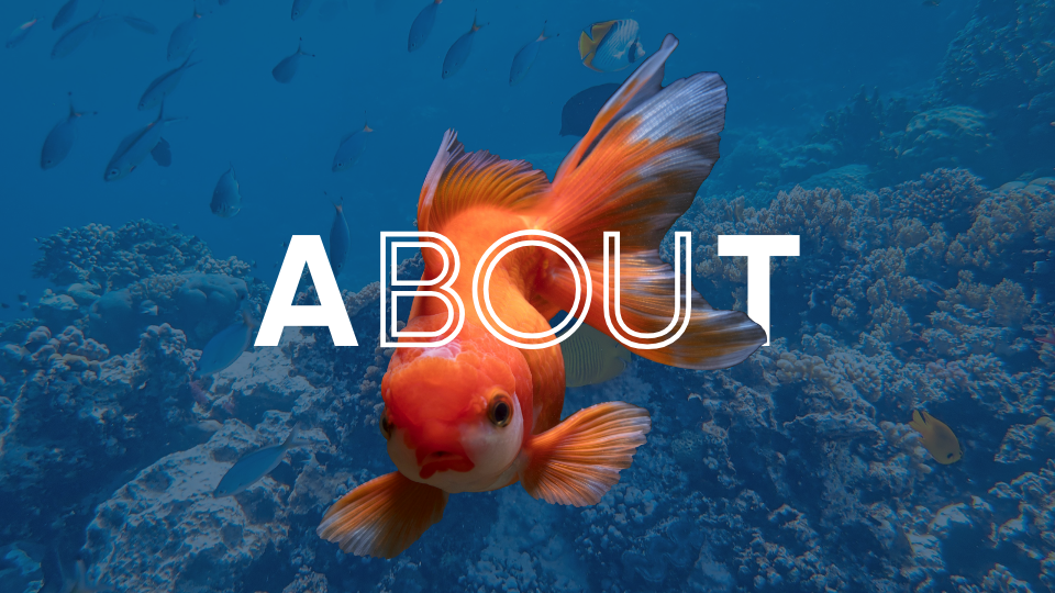 Between Desert and Sea — The Essence of Cliffs