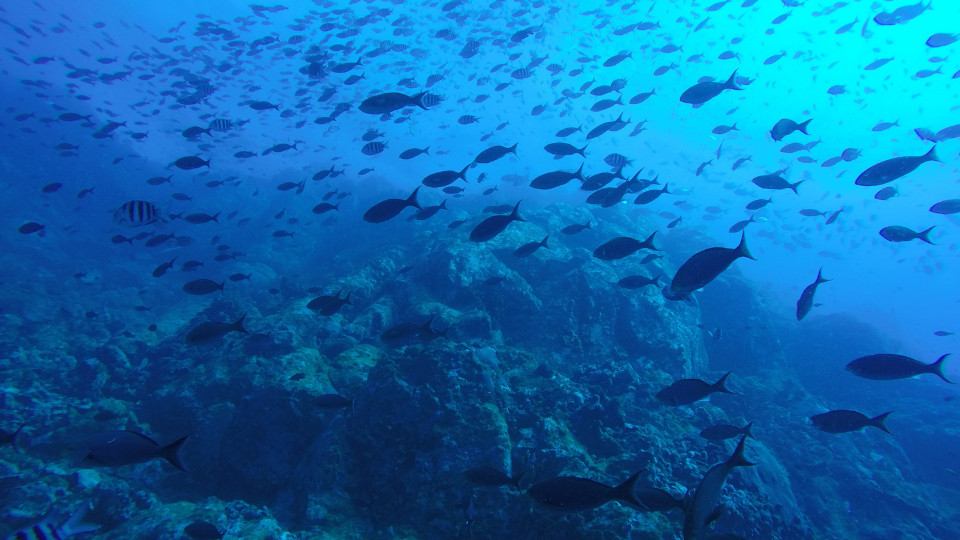 Where the sea meets the sky — and the world slows down.