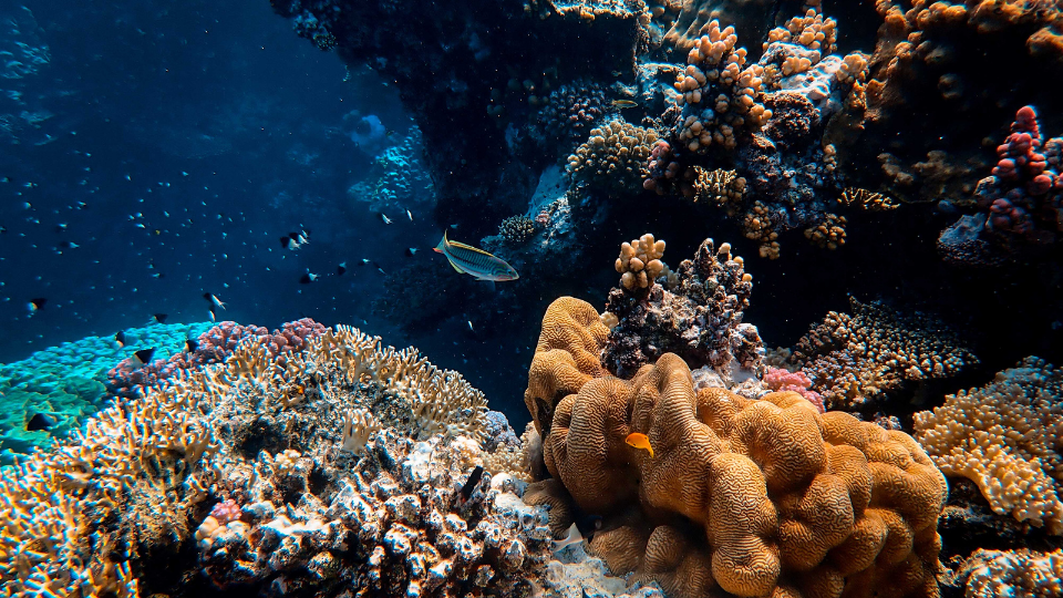 Where the sea meets the sky — and the world slows down.